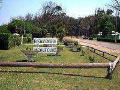 EDEA plant� 200 �rboles en Parque Camet