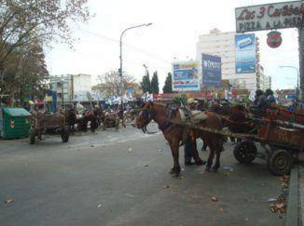 Permitir�n carros en la ciudad hasta que se inscriban en un registro de cartoneros