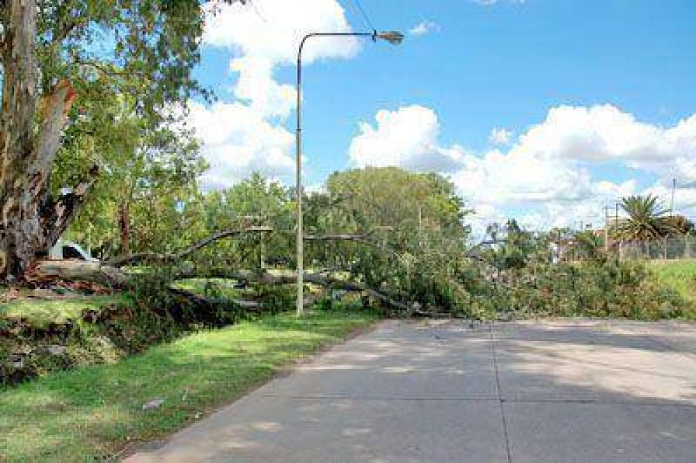 Abundantes lluvias en la regi�n