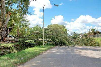 Abundantes lluvias en la regi�n