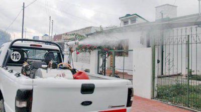 Dengue: comenz� la fumigaci�n