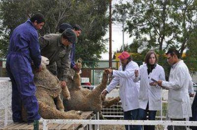 �Hay que buscar la forma de que ambas actividades puedan convivir�
