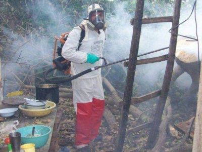 Hay dengue aut�ctono en el norte de Salta