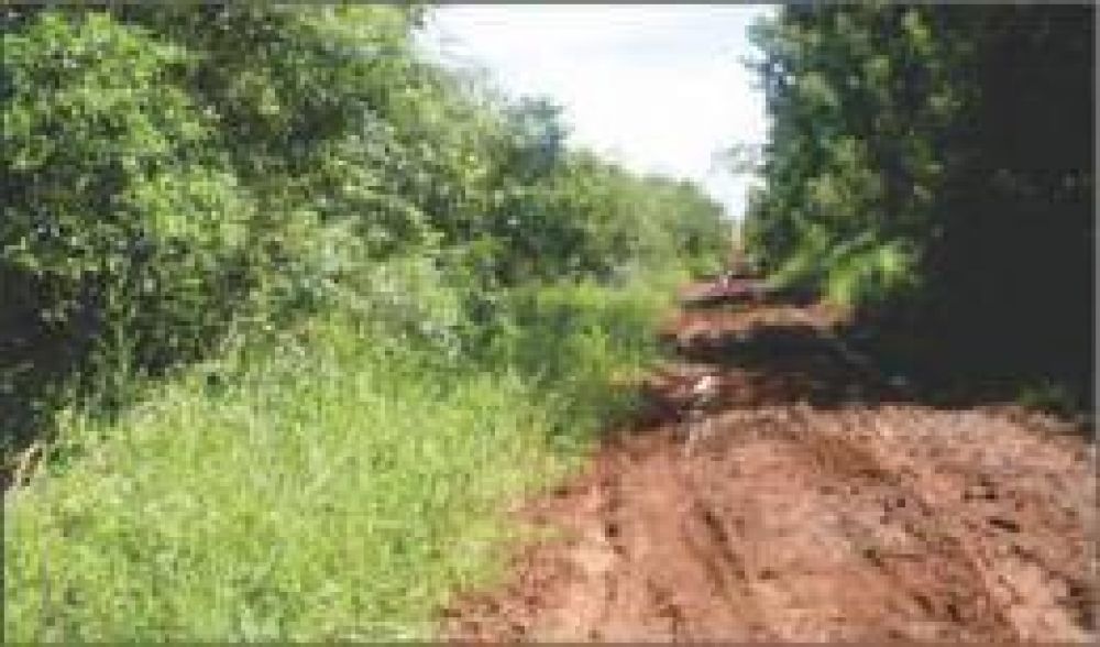 Productores y oleros son perjudicados por el mal estado de la ex Ruta 213
