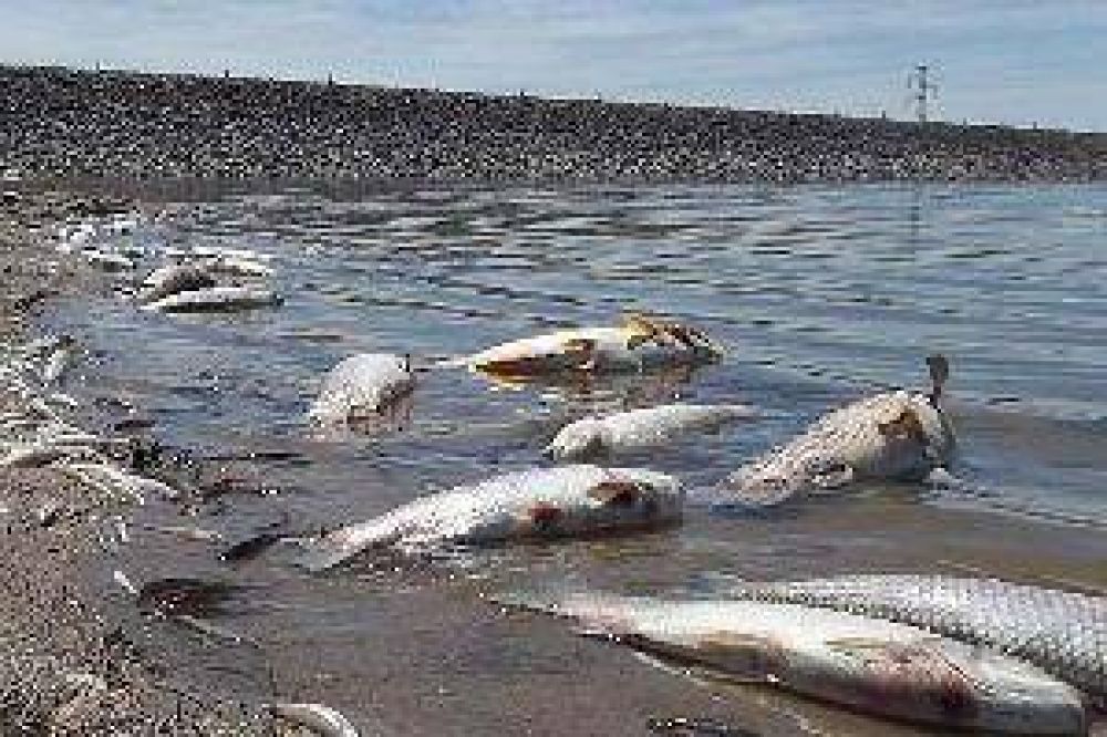 Rocchia Ferro, Colombres y otros once industriales desfilar�n por el Juzgado Federal