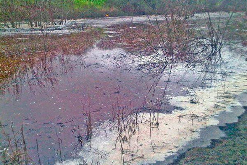 Molinari indagar� a empresarios tucumanos por la contaminaci�n del embalse