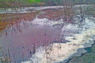 Molinari indagar� a empresarios tucumanos por la contaminaci�n del embalse