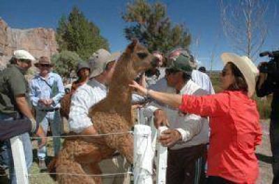 Luc�a particip� de la Feria de la Puna