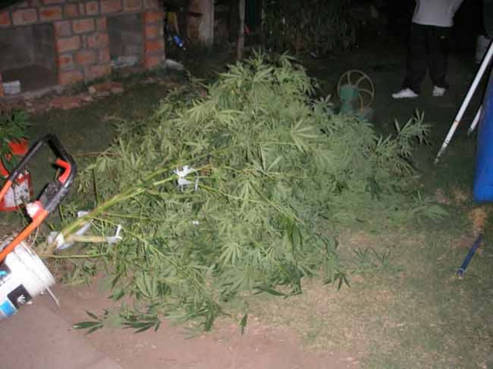 Presunto dealer de droga atrapado en Pico