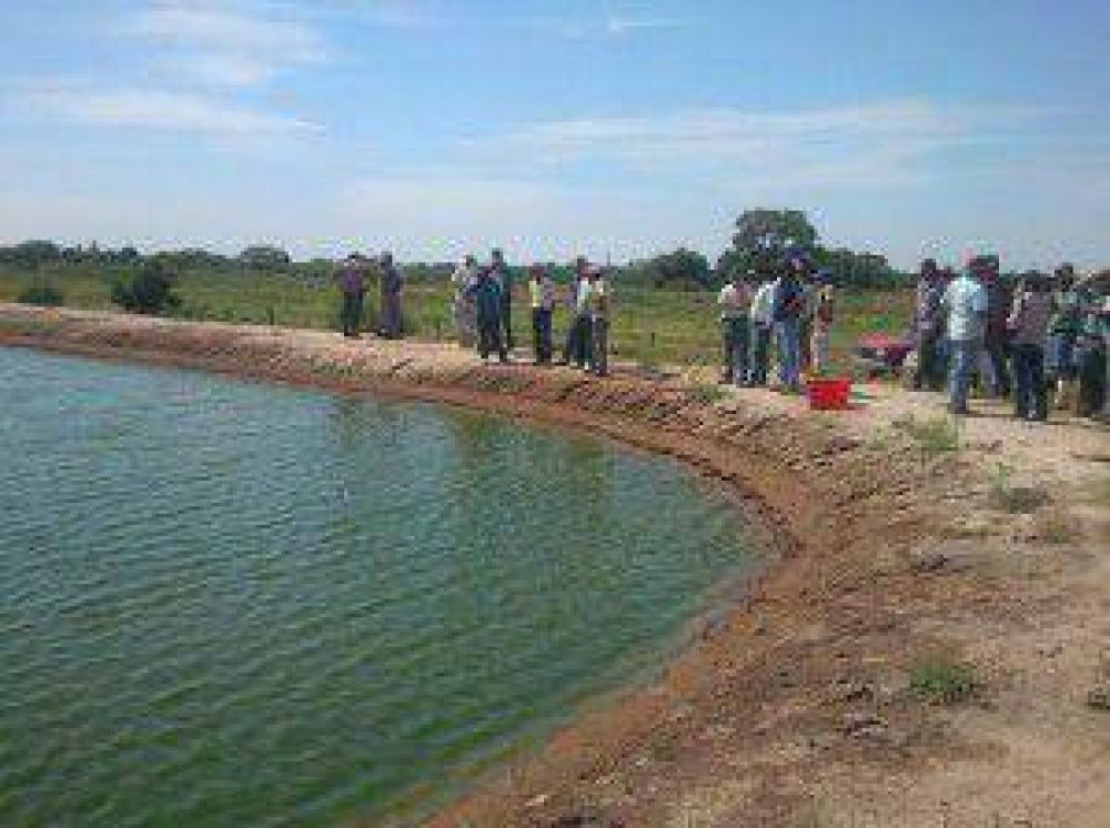 Crecimiento de la piscicultura en el segmento de peque�os y medianos productores de la provincia