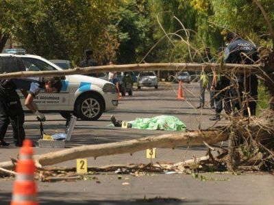 Un canillita falleci� luego de que la rama de un �rbol impactara en �l mientras circulaba en moto