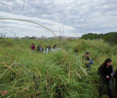 Convocan a nuevos voluntarios para la Reserva del Puerto