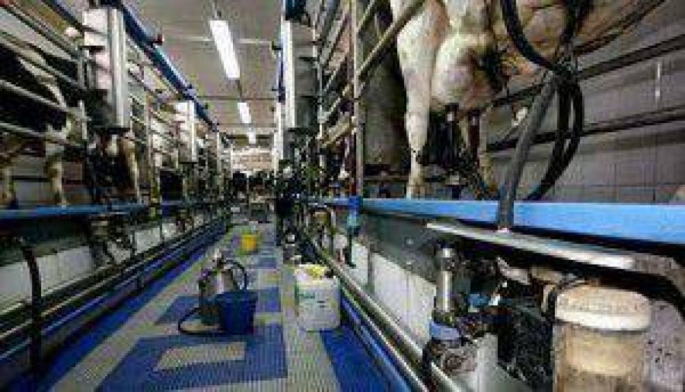 Espa�a: Los productores l�cteos de Ortegal luchan por sobrevivir