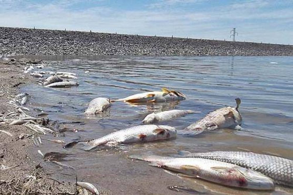 Juez santiague�o indagar� a empresarios tucumanos por contaminaci�n