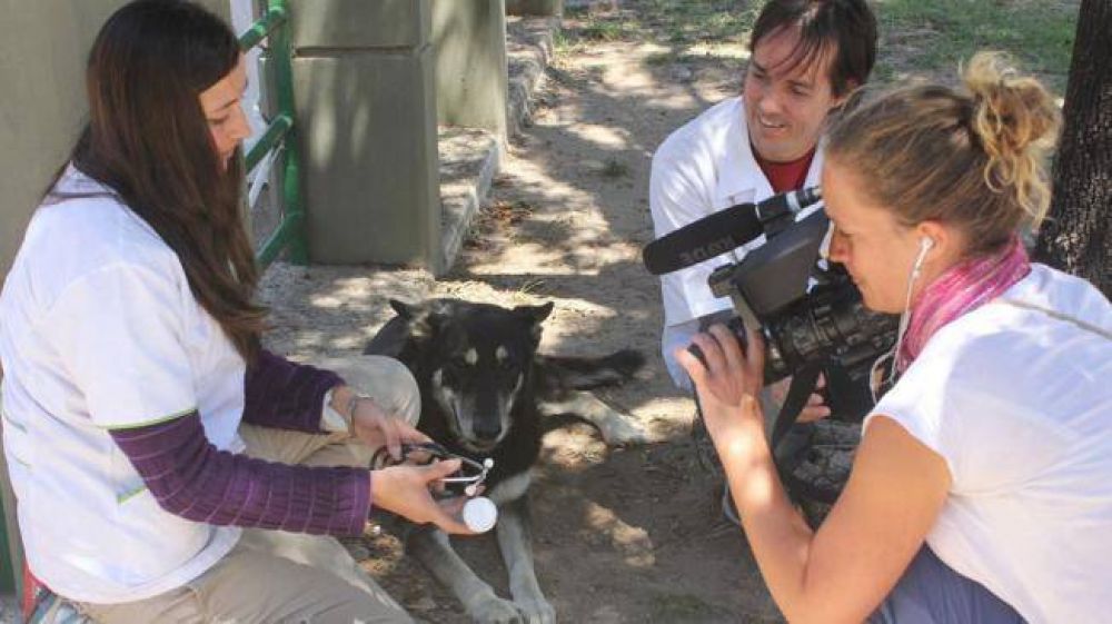 La historia del perro Capit�n, contada con acento franc�s