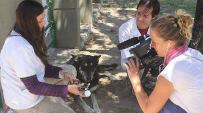 La historia del perro Capit�n, contada con acento franc�s