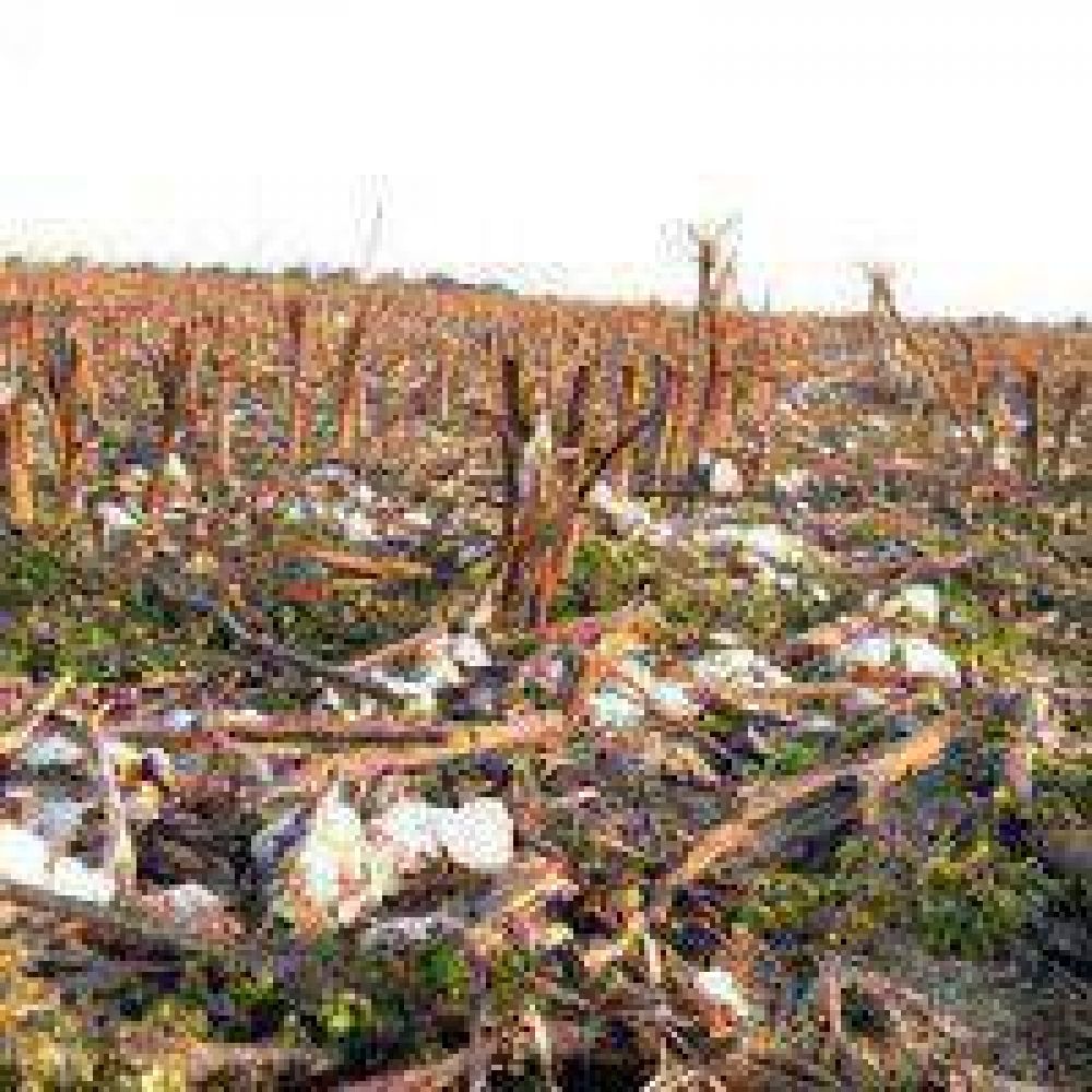 Producci�n estableci� fechas para la destrucci�n de rastrojos