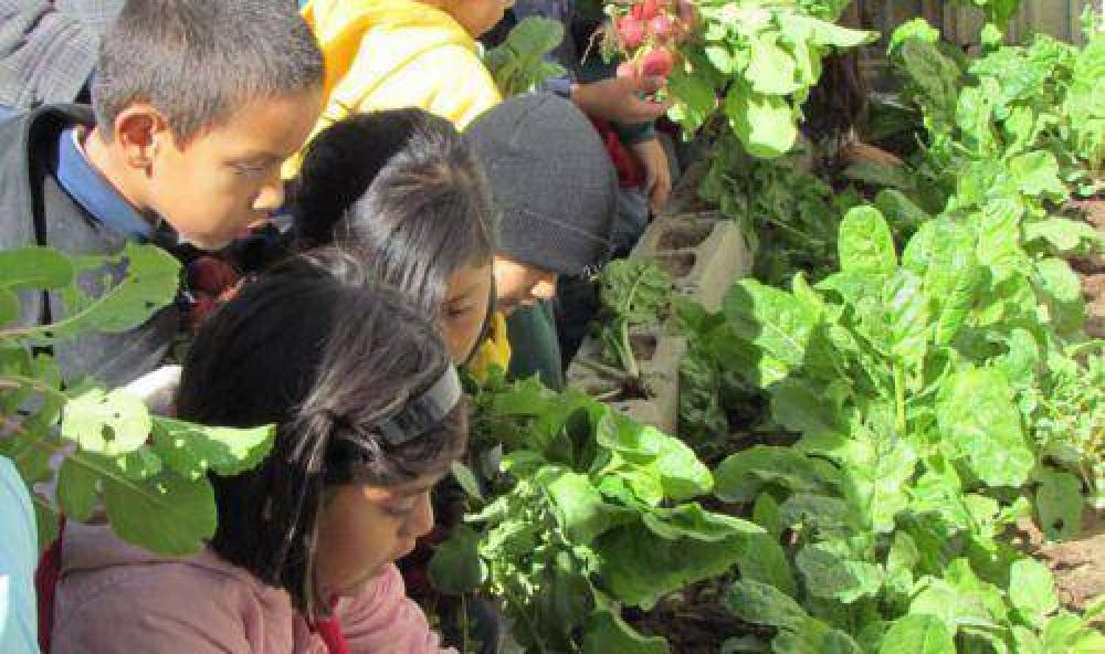Ense�an a grandes y chicos a cultivar