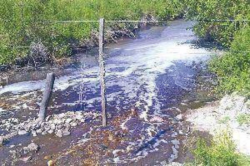 "Todav�a escucho cuando los industriales tucumanos nos dec�an vinaza cero"