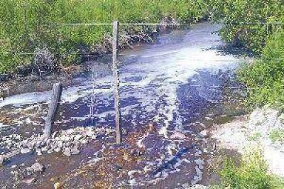 "Todav�a escucho cuando los industriales tucumanos nos dec�an vinaza cero"