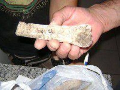 Lincoln: Encontraron restos humanos con una antig�edad de 8.800 a�os