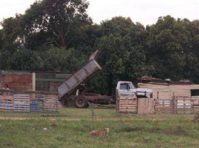 Vecinos denuncian la usurpaci�n de terrenos