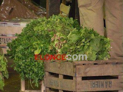 Suben los precios de las verduras de hoja por la falta de producci�n 