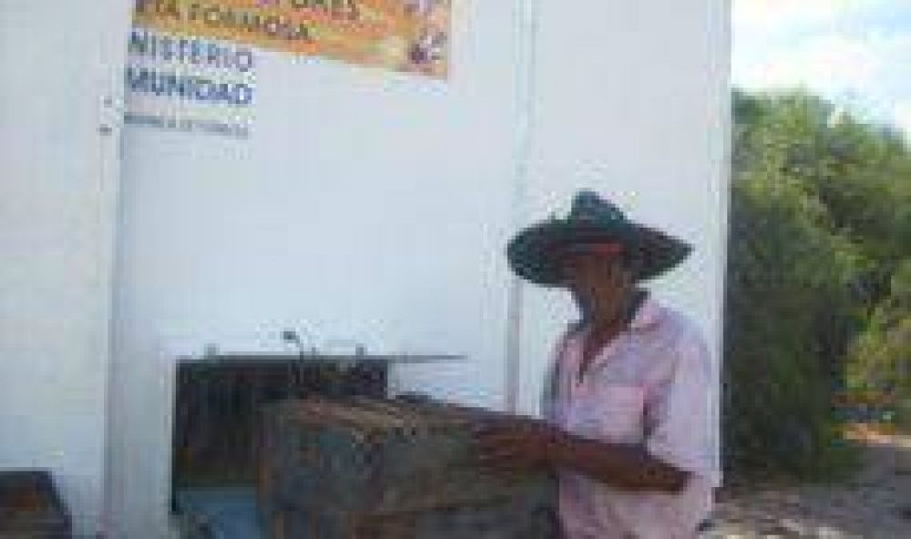 Afianzan desarrollo ap�cola de Ibarreta