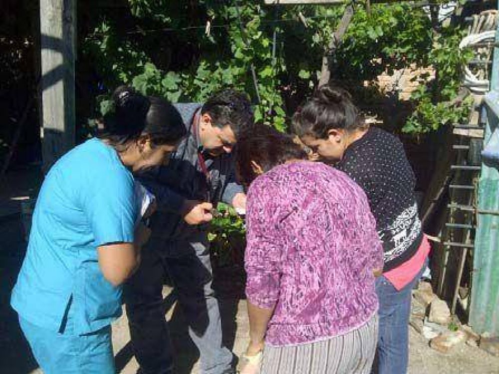 El Ministerio de Salud toma acciones para la prevenci�n del Dengue
