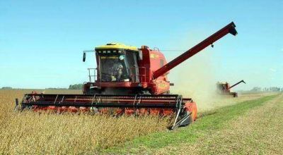 La producci�n de soja rondar� las 11 millones de toneladas en la provincia