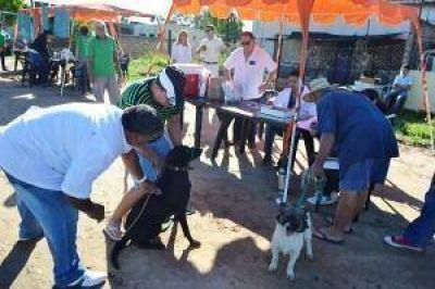 Trabajos integrales en asentamientos Uni�n y M�xico