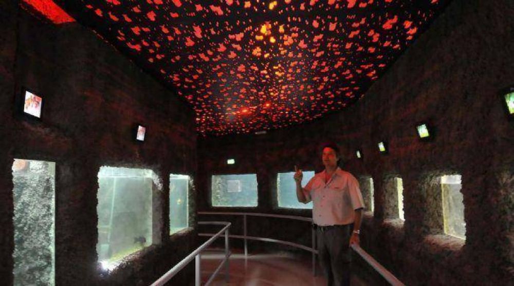 Cerrar�n el Acuario por nuevas refacciones