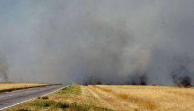 Un importante incendio en la zona serrana oblig� a utilizar nuevamente el avi�n hidrante