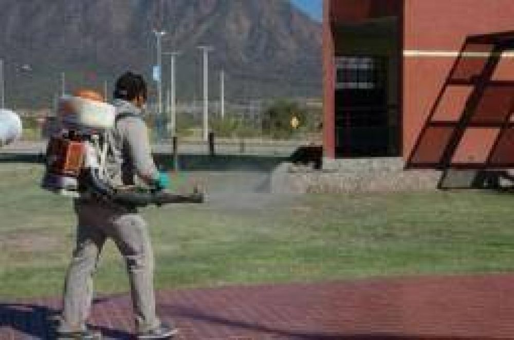 Dengue. El Parque de la Ciudad est� libre de mosquitos transmisores