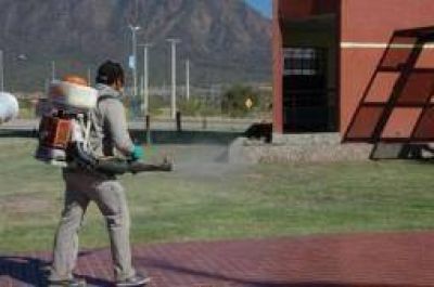 Dengue. El Parque de la Ciudad est� libre de mosquitos transmisores
