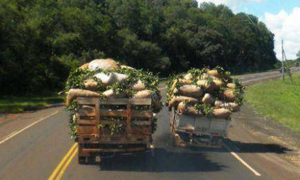 Se prorrog� la sesi�n para definir el precio de la yerba