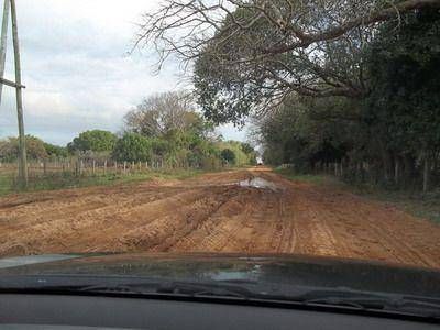 La Provincia invirti� m�s de $6 millones en otros 20 kil�metros de caminos para movilizar la producci�n