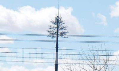 Por 23 antenas el Municipio recibir� 3,5 millones al a�o
