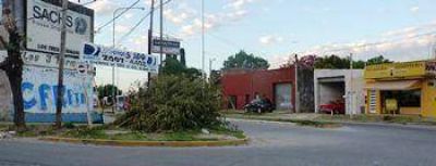 SIGUEN LAS RAMAS OBSTACULIZANDO LA VISI�N EN MITRE Y AV. CONSTITUCI�N 