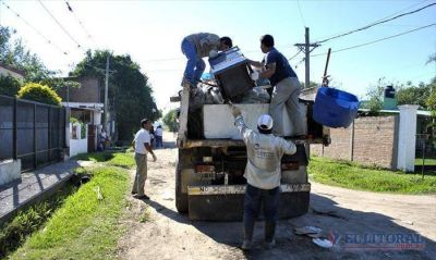 Dengue: m�dicos consultan sobre detecci�n y tratamiento