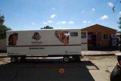 La Quiaca: se inaugur� servicio de atenci�n de animales