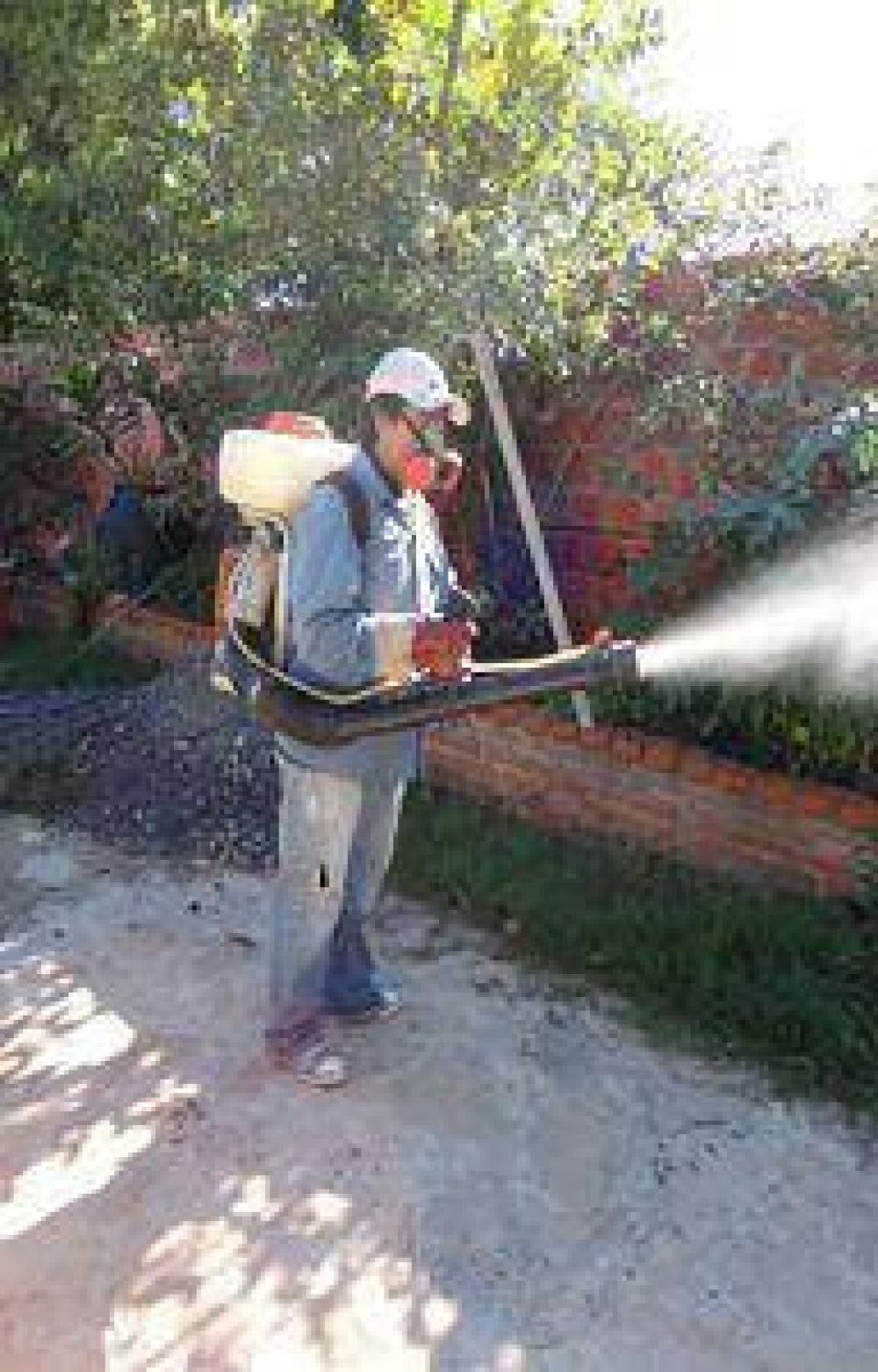 Dengue: fumigaci�n espacial durante este fin de semana
