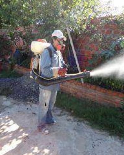 Dengue: fumigaci�n espacial durante este fin de semana