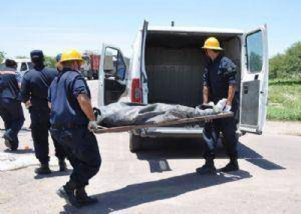 Motociclista muere en violenta colisi�n