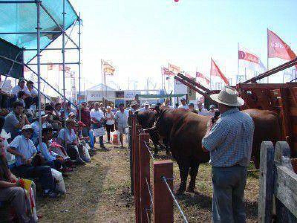Este martes comienza Expoagro 2013 en Baradero