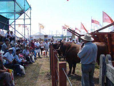 Este martes comienza Expoagro 2013 en Baradero