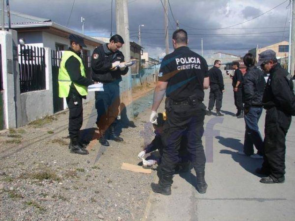 Un ladr�n detenido tras violento asalto a una despensaUn ladr�n detenido tras violento asalto a una despensa