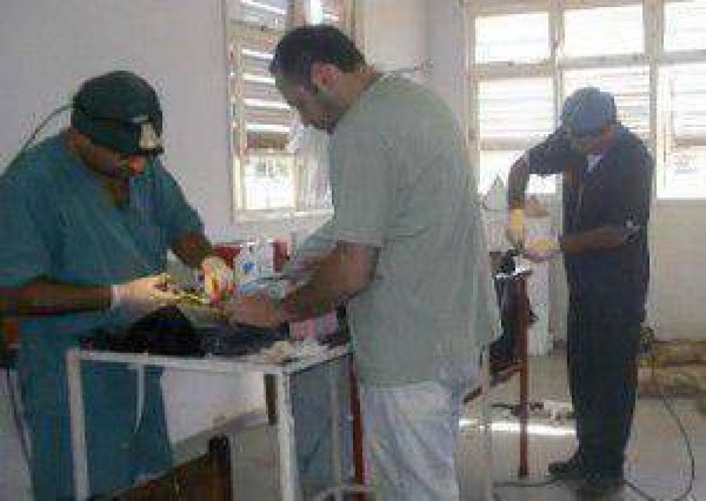El mi�rcoles arranca el programa de vacunaci�n y castraci�n de mascotas