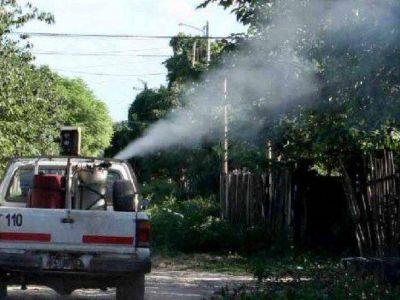 Pami refuerza la lucha contra el dengue