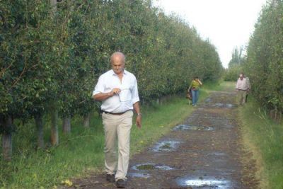 El granizo hizo perder 70.000 toneladas de fruta